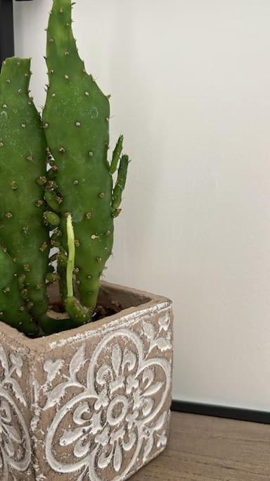 A Casa Del Nonno Jack Villa Letojanni Ngoại thất bức ảnh